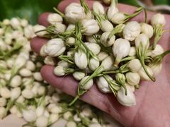 -福照楼汽锅鸡·云南菜(万达广场店)