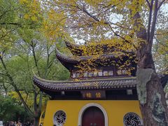 -西园戒幢律寺