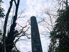 -上海佘山国家森林公园天马山园