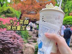-岳麓山风景名胜区