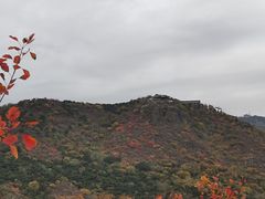 -香山公园