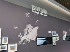 -中国湿地博物馆