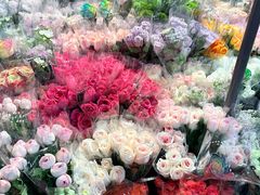 -循礼门鲜花花市(武汉循礼门店)