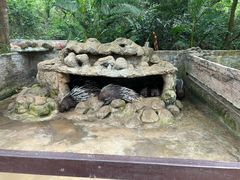 -海南热带野生动植物园