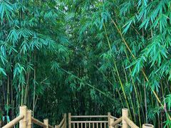 -沐川竹海旅游景区