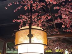 -老平安农家菜(平安店)