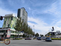 -马六甲鸡场街