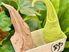 -野人先生Gelato(上海长宁龙之梦店)