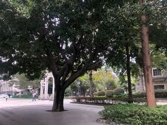 -兆祥公园