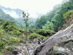 android_upload_pic-林坑古村落