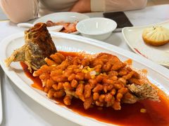 -大鸿运酒店·苏州菜·松鼠桂鱼(观前街店)