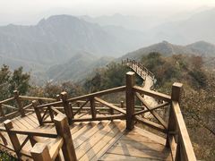 -大岭沟猕猴桃谷风景区