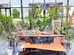 -北马山庄植趣咖啡