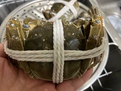 -阳澄湖大闸蟹·琼灵阁牌品牌连锁(吴中总店)