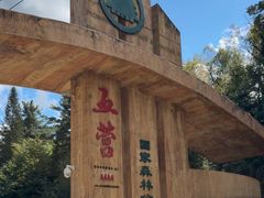 -五营红松林海景区