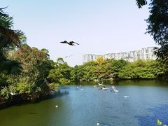 -广州长隆野生动物世界
