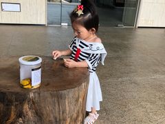 -融荟家和中餐厅(三亚海棠湾九号度假酒店)