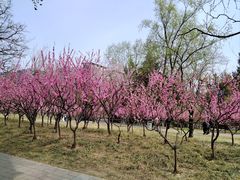 -玲珑塔公园