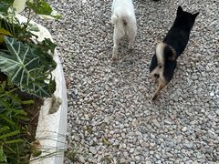 -自由生长植物工作室(深港花卉中心店)