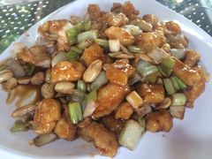 -草根堂农场