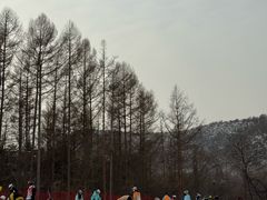 -东北亚滑雪场