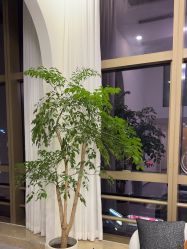 -JNK皮肤管理中心