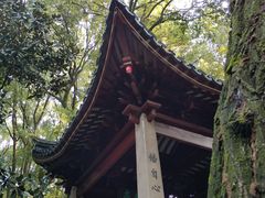 -灵岩山风景区