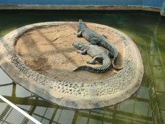 -太原动物园