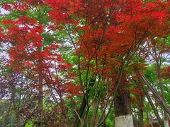-常德桃花源景区