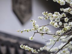 -惠山古镇·寄畅园