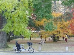 -京都御所