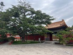 -北京市劳动人民文化宫(太庙)