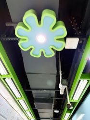 -复旦大学附属儿科医院
