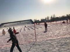 -绿野森林乐园冰雪季