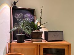 -本無咖啡·BeanWood Coffee