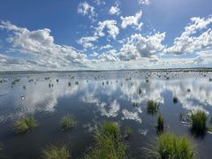 -花湖生态旅游区