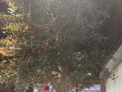 -咖啡人·融合餐厅(健康东路店)