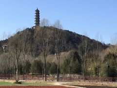-北坞公园