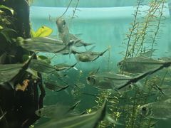 -海合安武汉极地海洋公园
