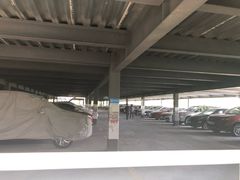 -上海植物园·停车场