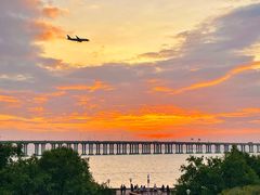 -宝安西湾红树林湿地公园