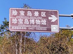 -珍宝岛