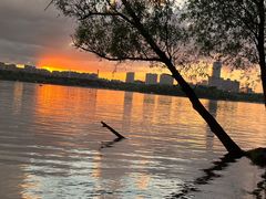 -长春市南湖公园