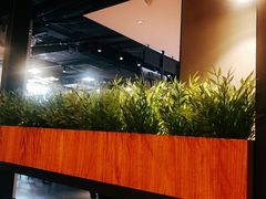 -真功夫(宝丰店)