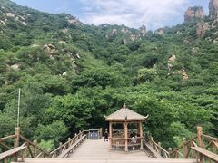 -大岭沟猕猴桃谷风景区