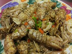 -小叶大馅饺子城
