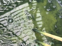 -西安大唐西市博物馆