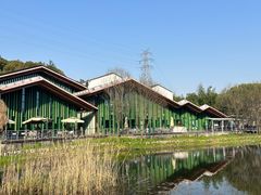-西湖风景区-江洋畈生态公园