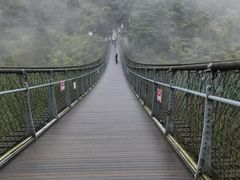 -娄山关景区