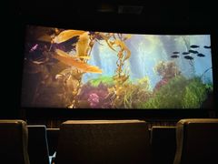 -奥斯卡升龙国际影城(RealD Cinema)